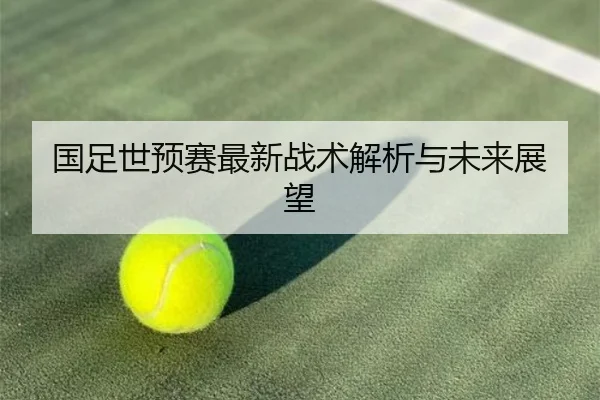 国足世预赛最新战术解析与未来展望（ODSports）
